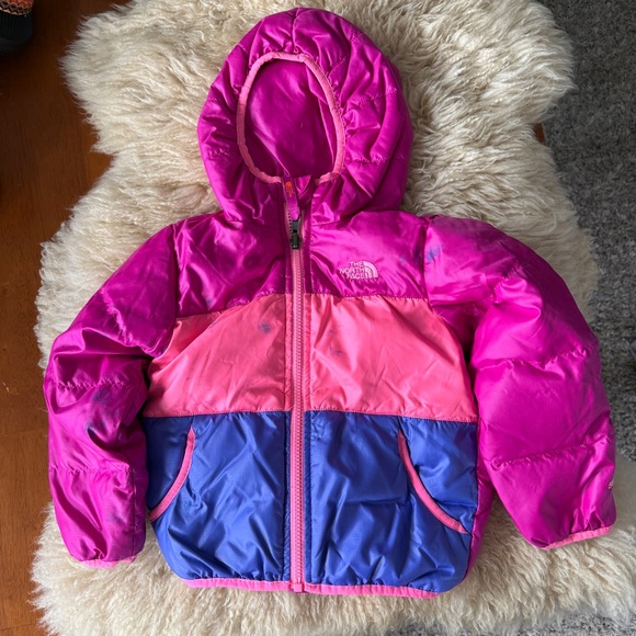 The North Face Other - The North Face  550 Goose Down Hooded Jacket Toddler 4T